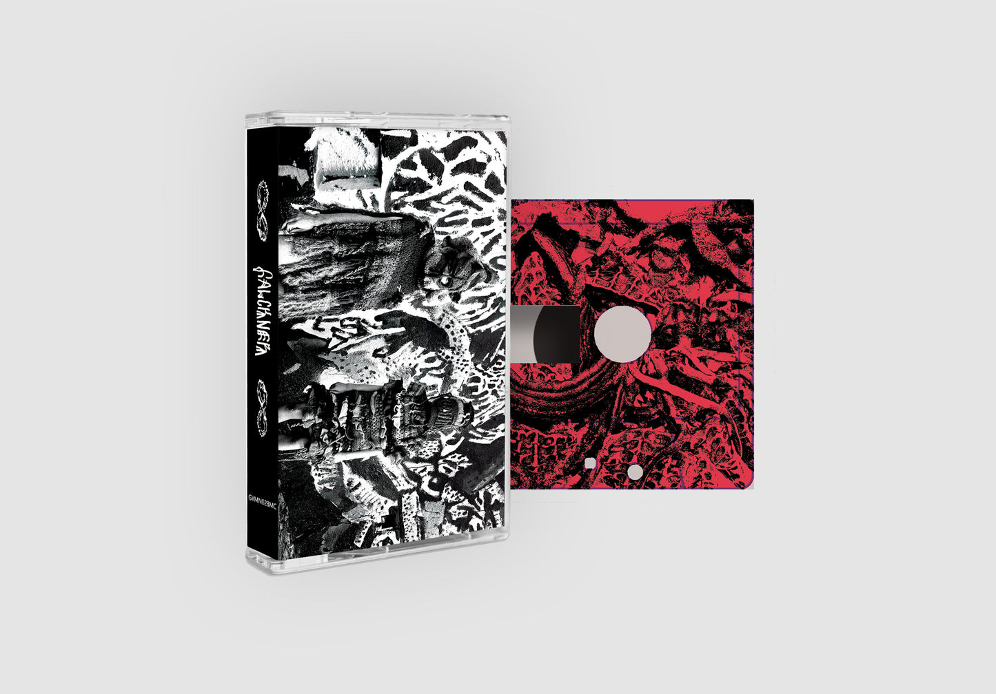 Falckner Cassette 2.jpg