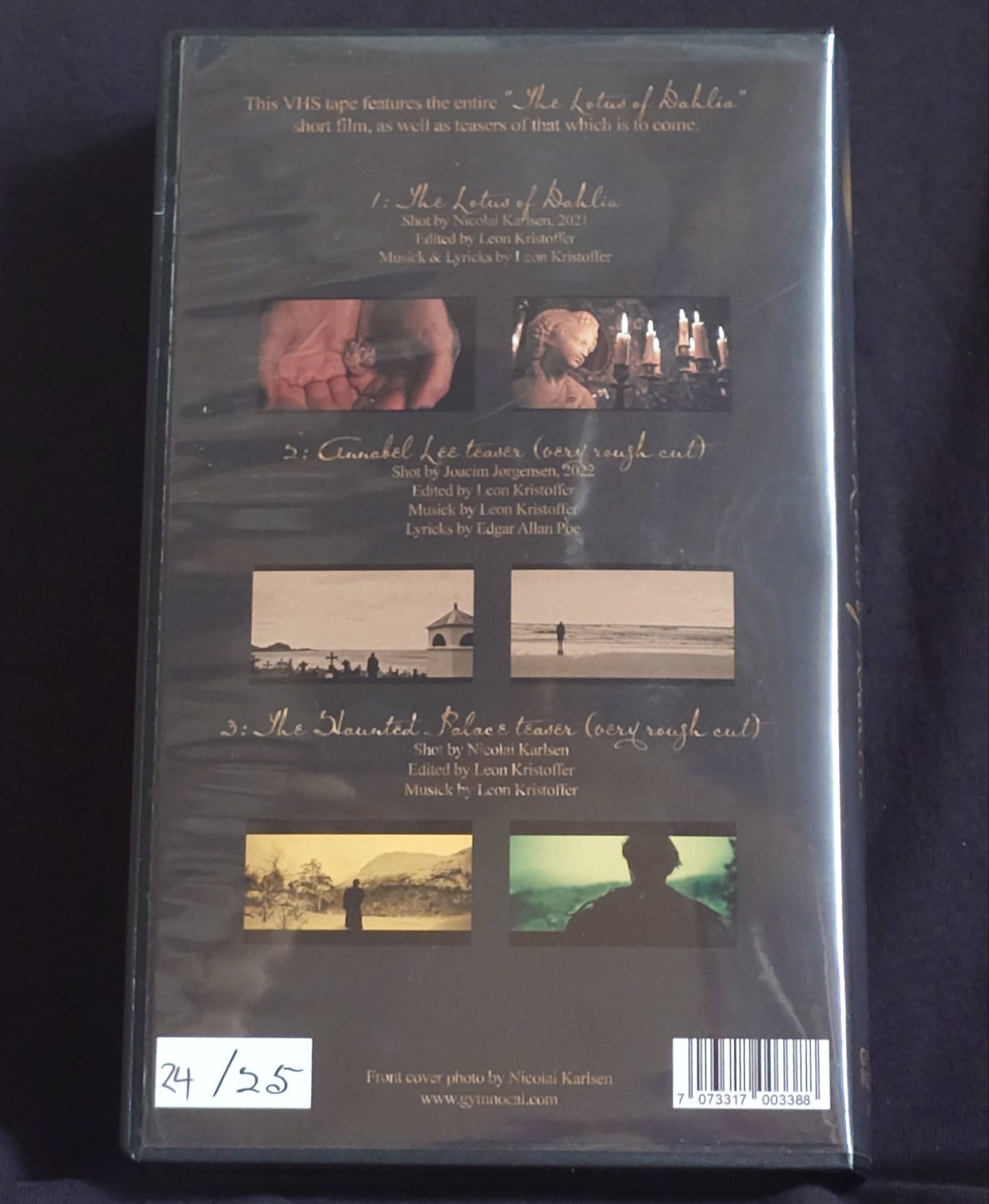 Spirit Tomb VHS back cover