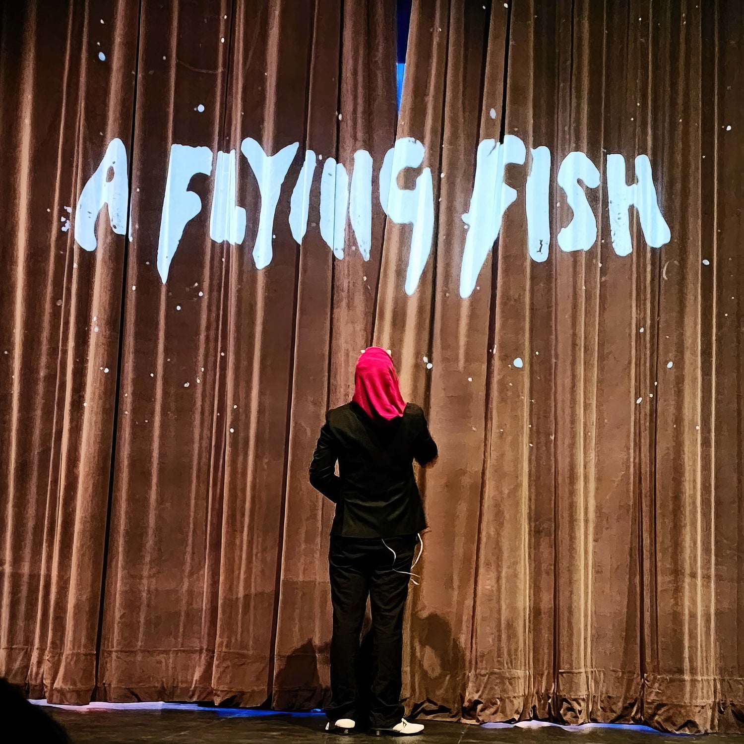 A Flying Fish