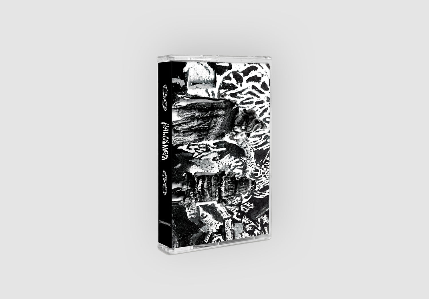 Falckner Cassette.jpg