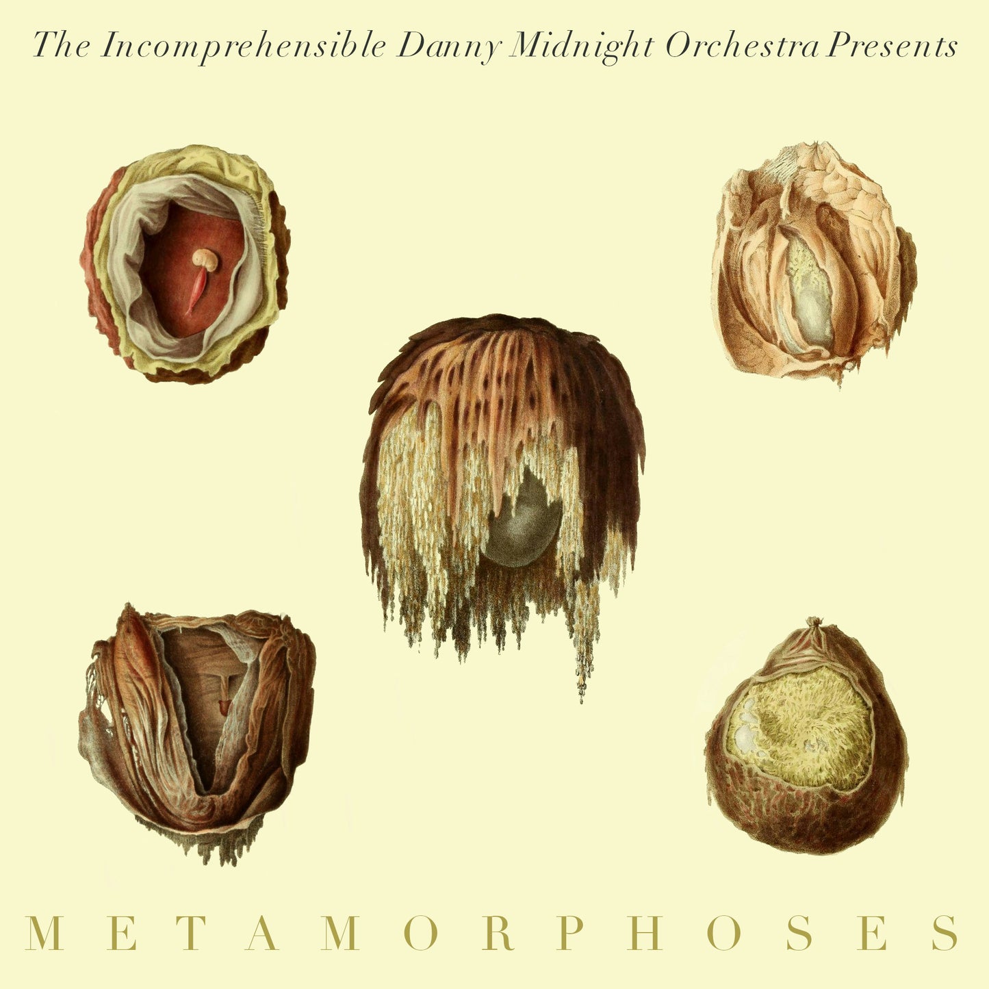 The Incomprehensible Danny Midnight Orchestra - Metamorposes - Ltd LP (Signed)