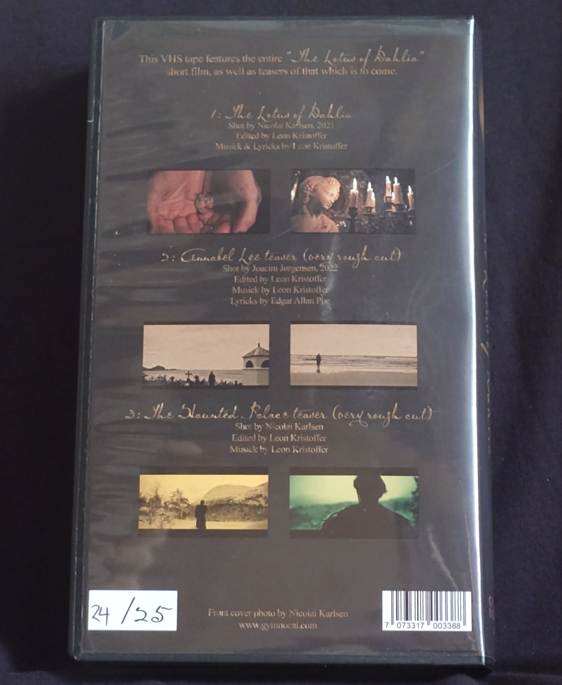 Spirit Tomb VHS back cover